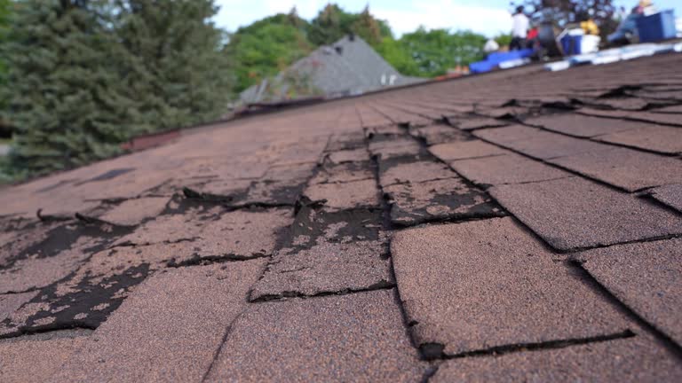 Best Tile Roofing Installation  in Mentor, OH